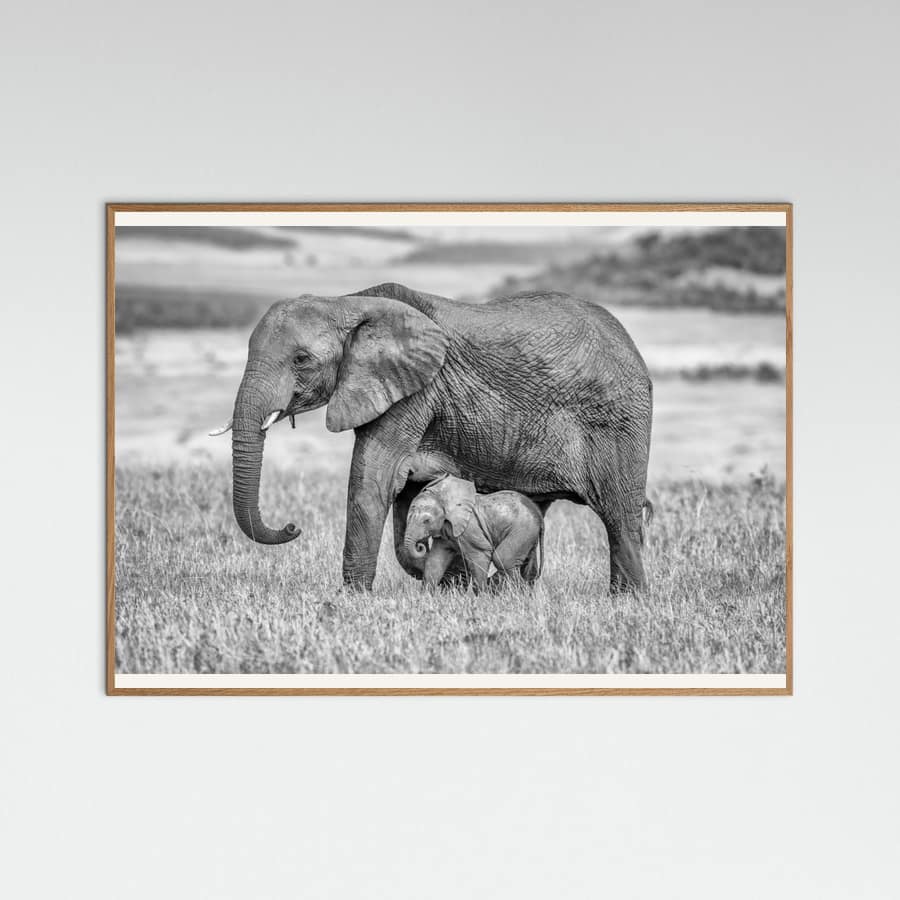 Póster Staying close and protected – póster e impresión artística