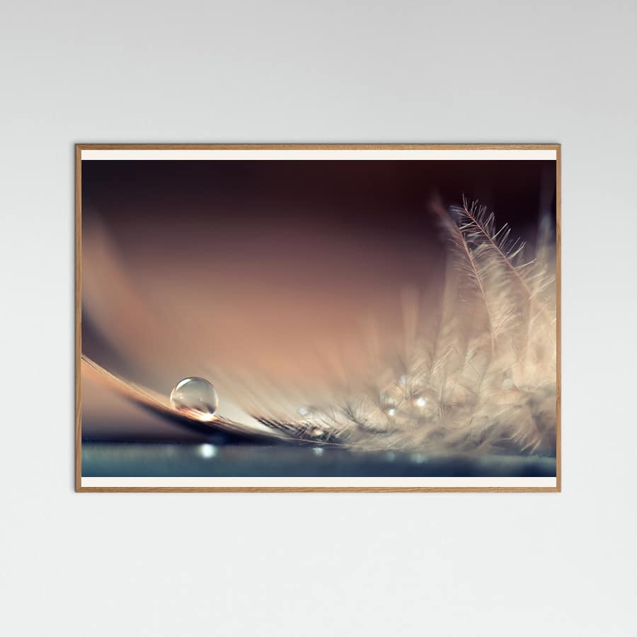 Stories of Drops Poster – plakat og kunsttryk