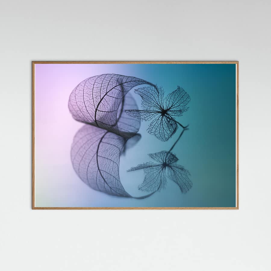 Plakat Story of leaf and flower – plakat i druk artystyczny