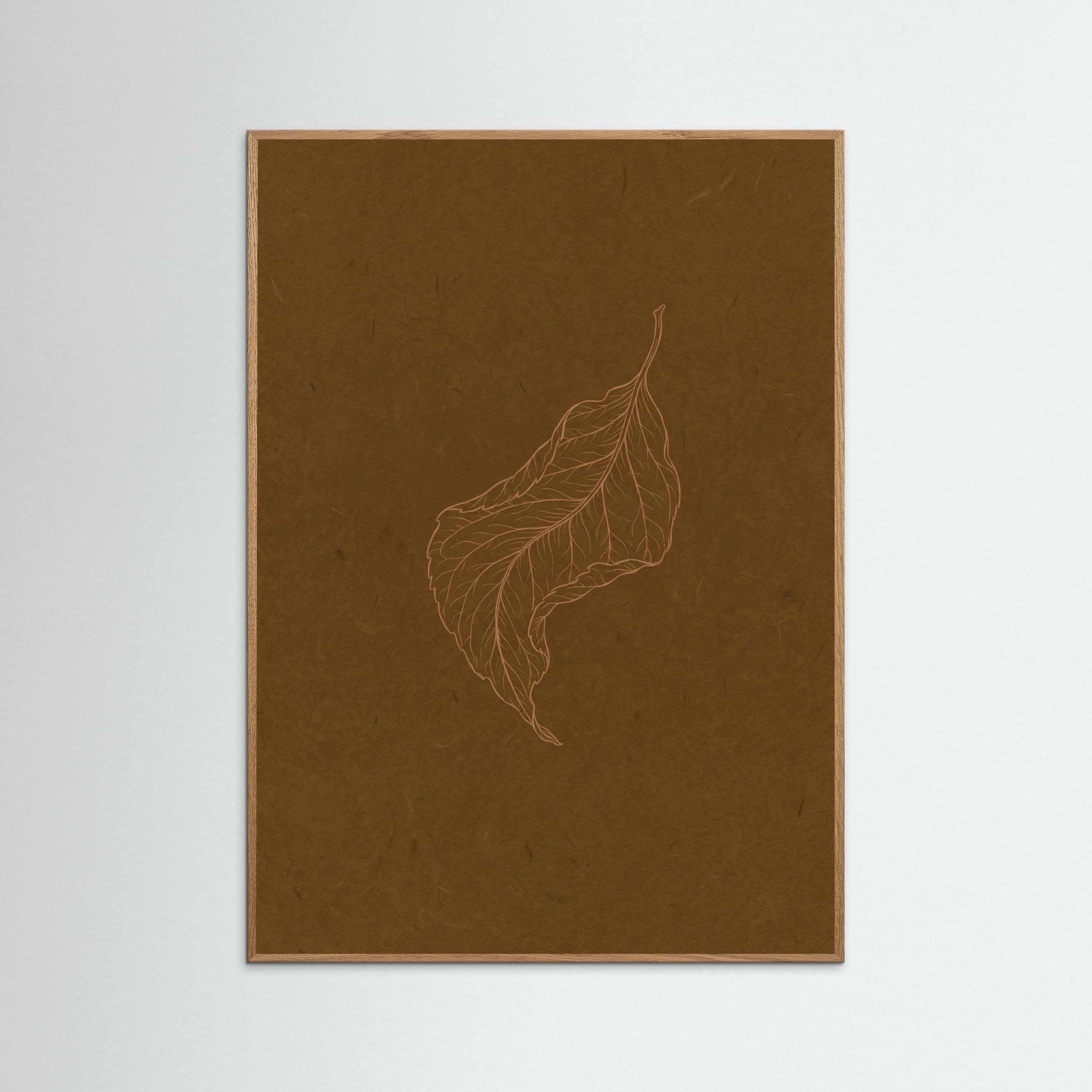 Oak Nature Subtle Entomology