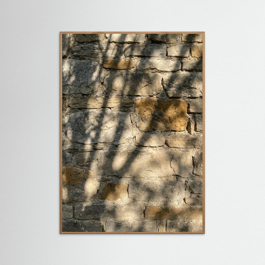 Sun Dappled