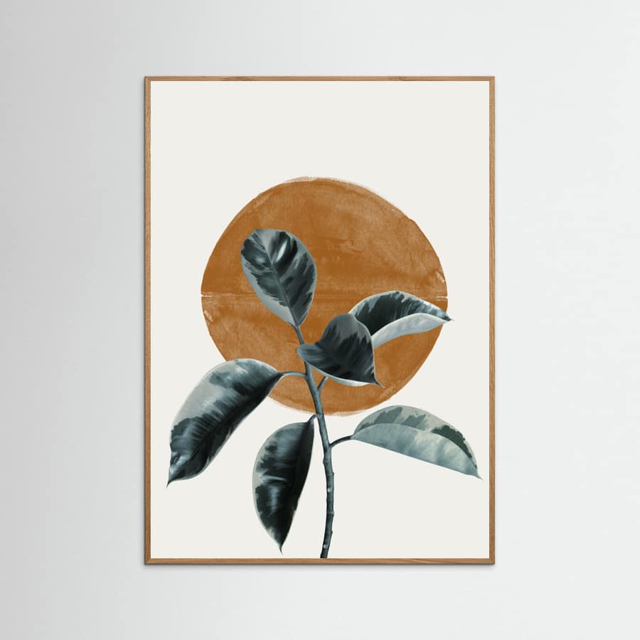 Sun and Ficus Poster – plakat og kunsttryk