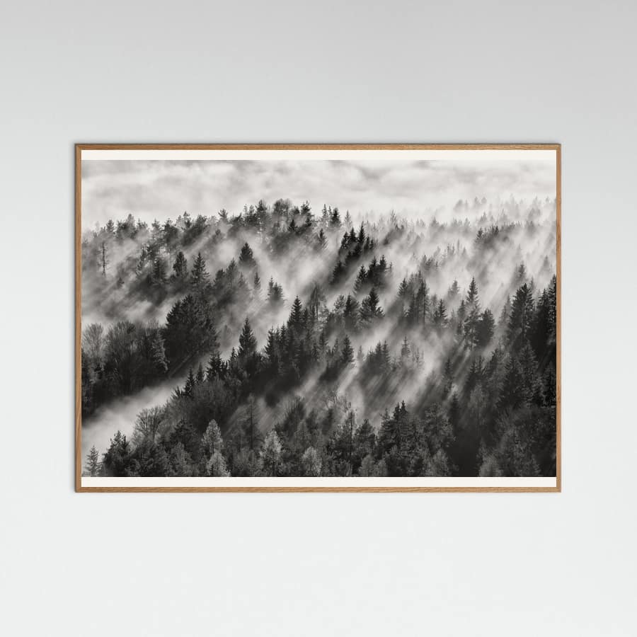 Sundance No.1 Poster – plakat og kunsttryk