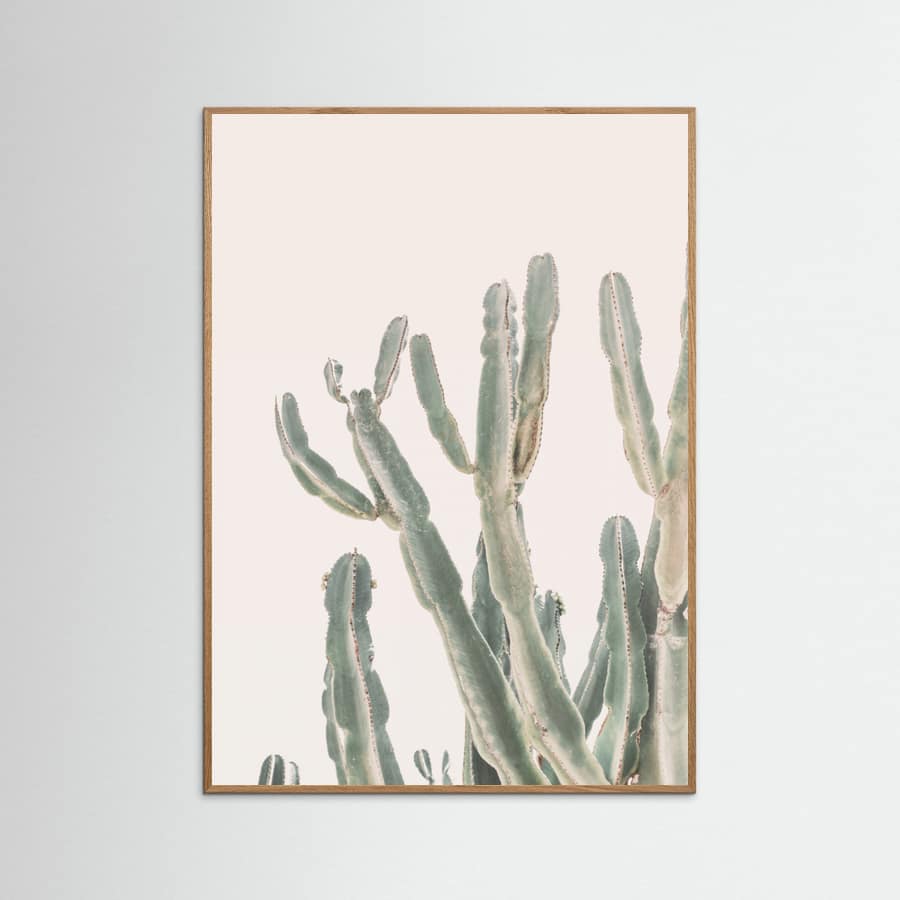 Sunrise Cactus Poster