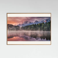 Oak Nature Sunrise at the Lake Poster