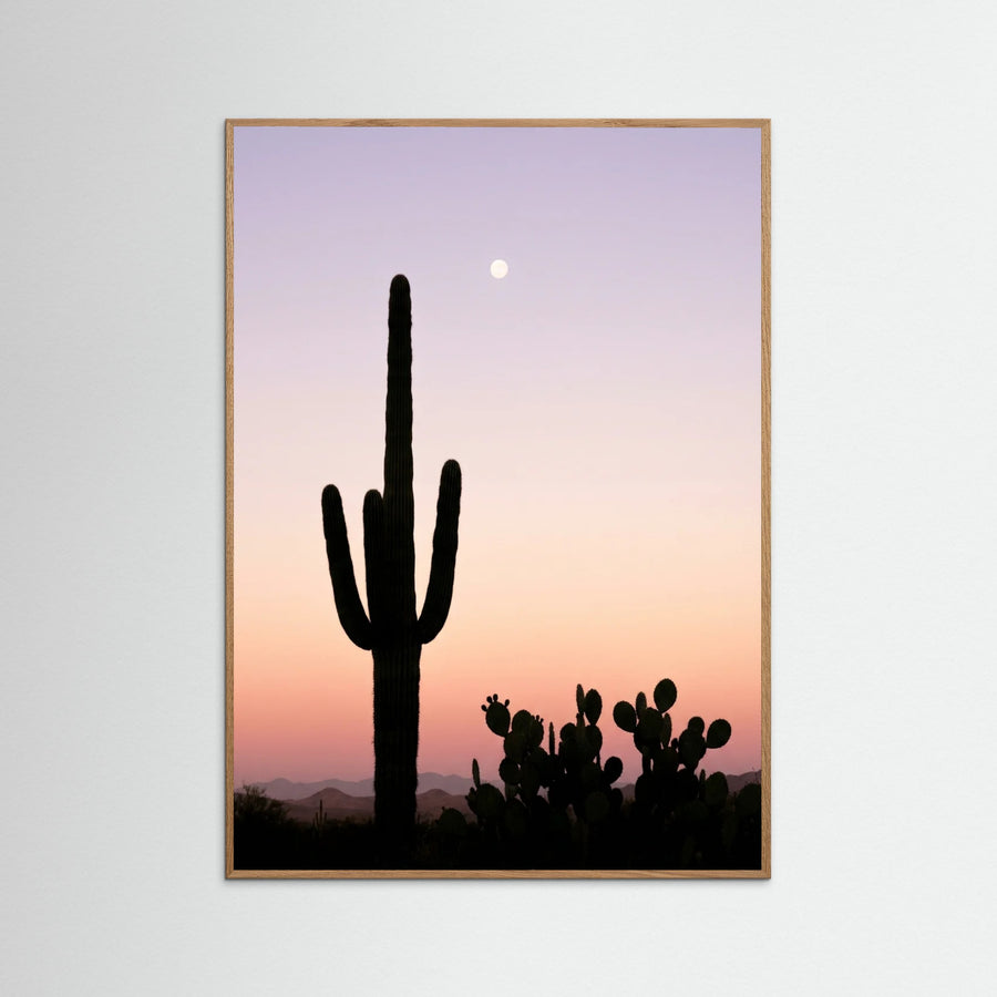 Sunset Silhouettes