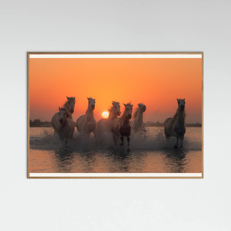 Plakat Sunset in Camargue