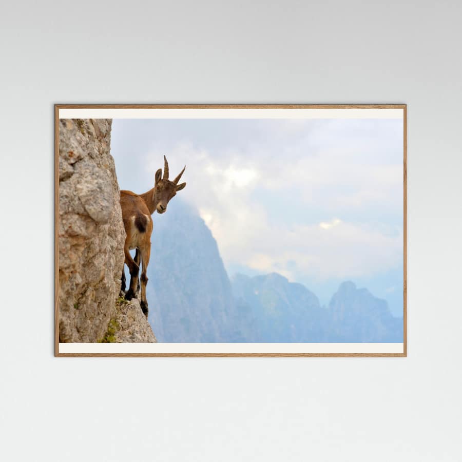 Poster Suspense – poster e stampa artistica