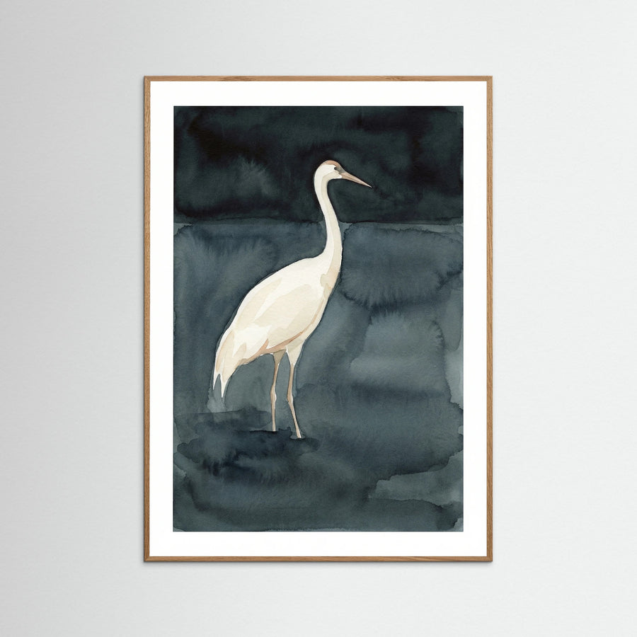 Swan Embrace