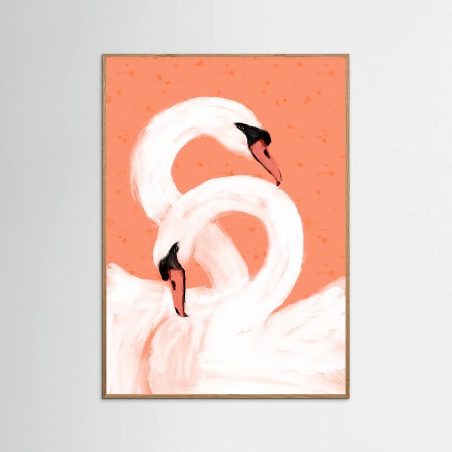 Swans Poster
