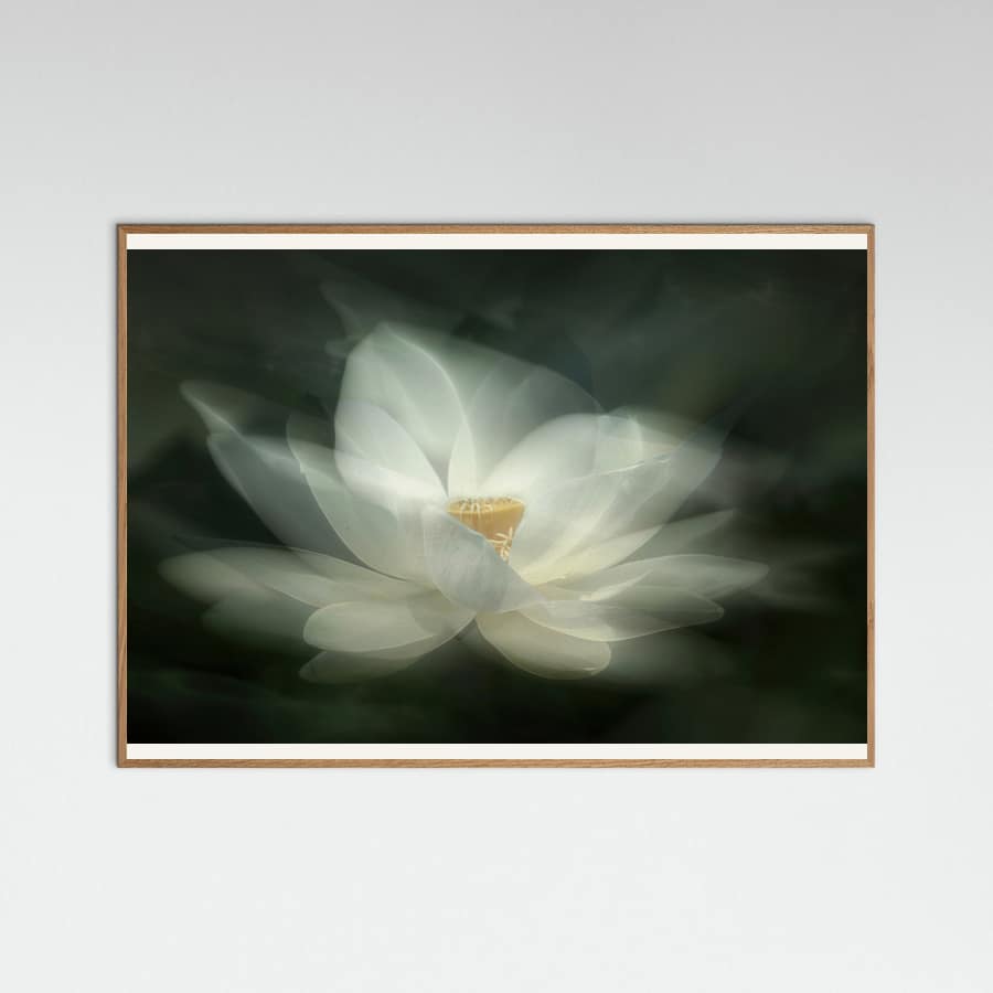 Swaying Poster – poster en kunstdruk