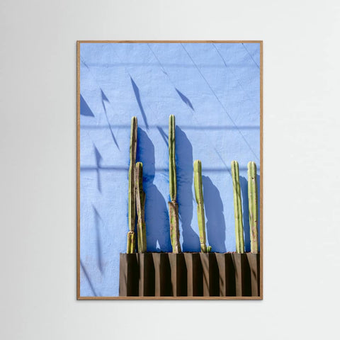 Oak Nature Tall Cacti | Oaxaca Mexico travel photography Poster