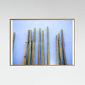 Oak Nature Tall Cacti on Blue | Oaxaca Mexico Travel Poster