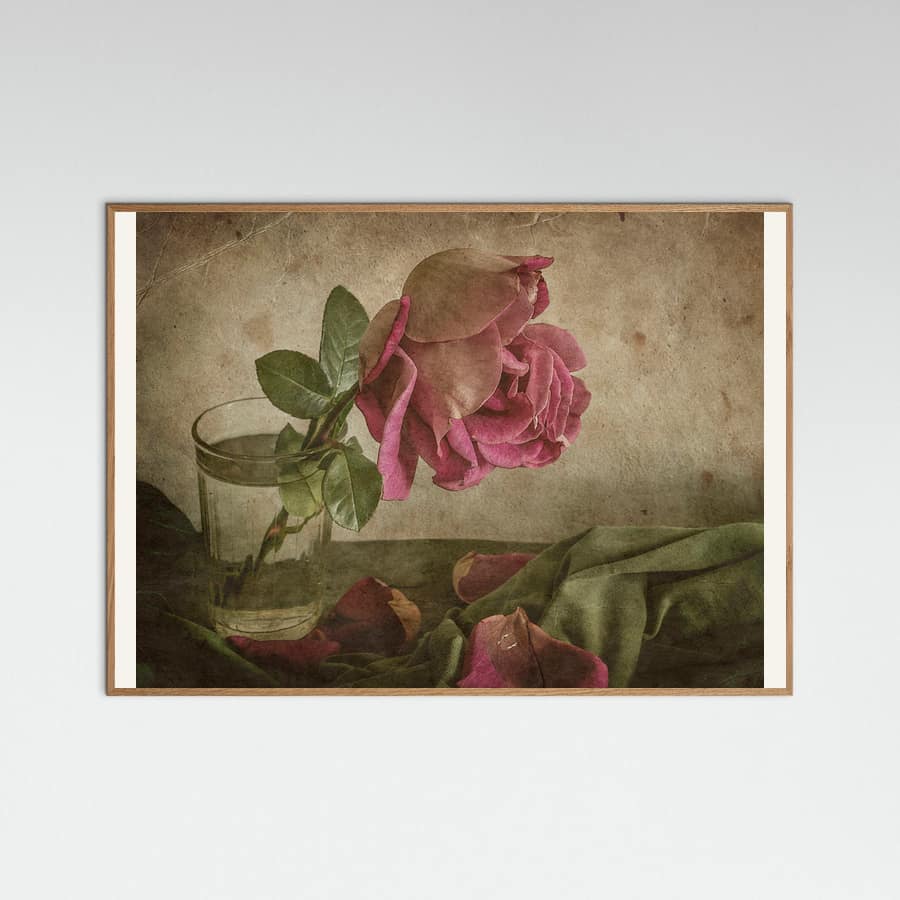 Tear of Rose -juliste – juliste ja taidepainatus