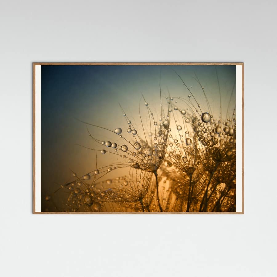 Tender is the Night Poster – Poster und Kunstdruck
