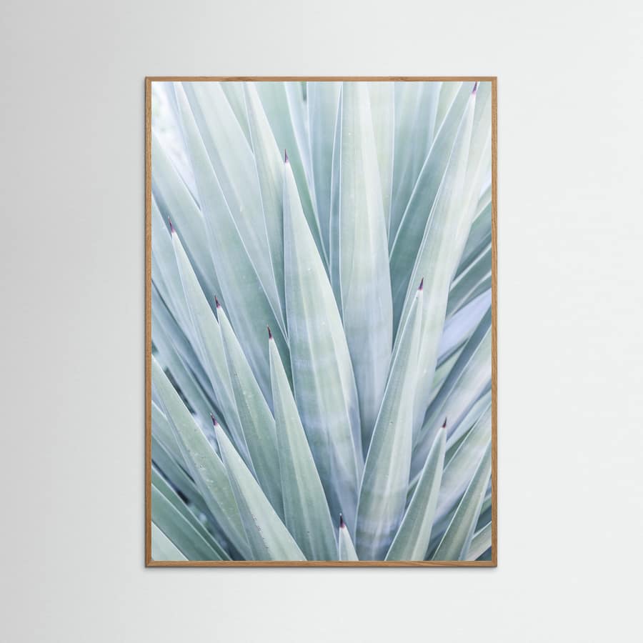 Tequilana Poster