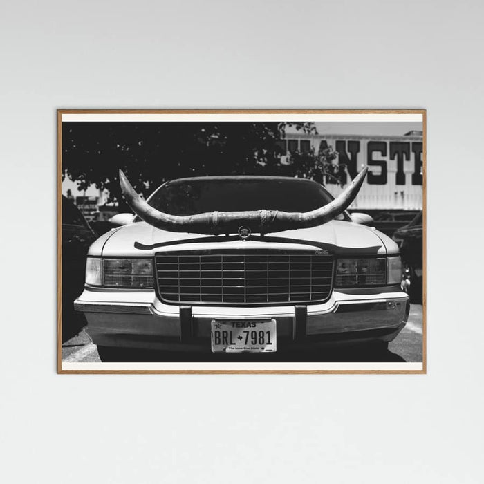 Oak Nature Texas Ride Poster