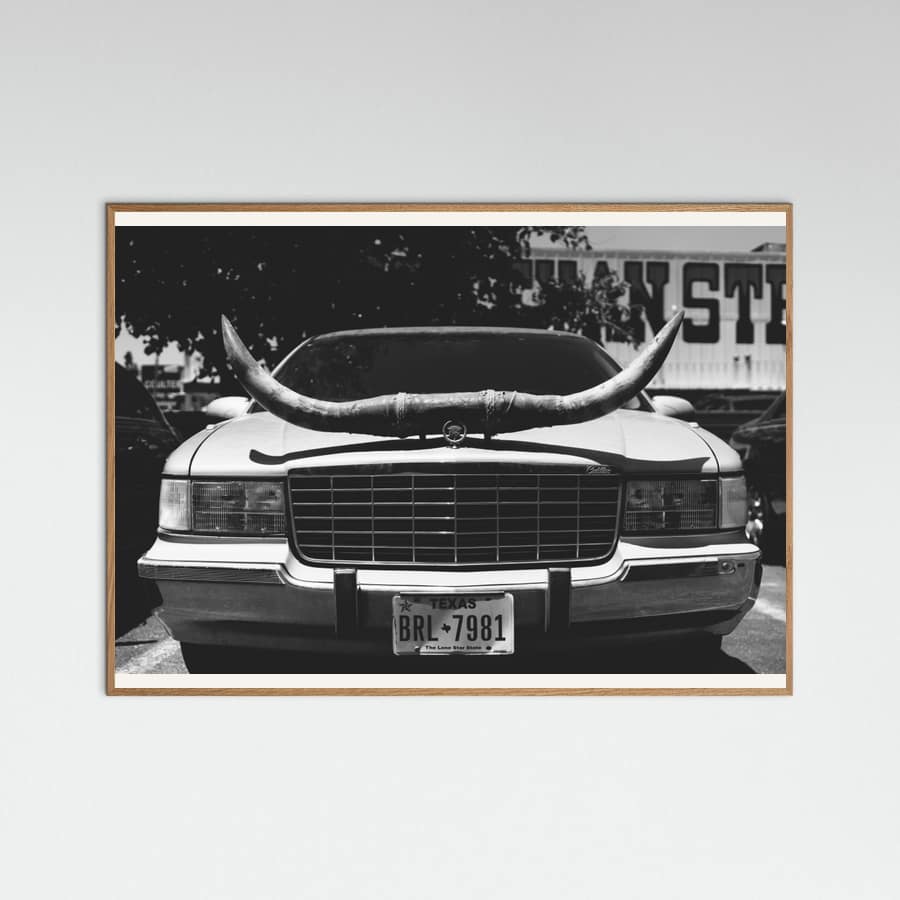 Texas Ride Poster