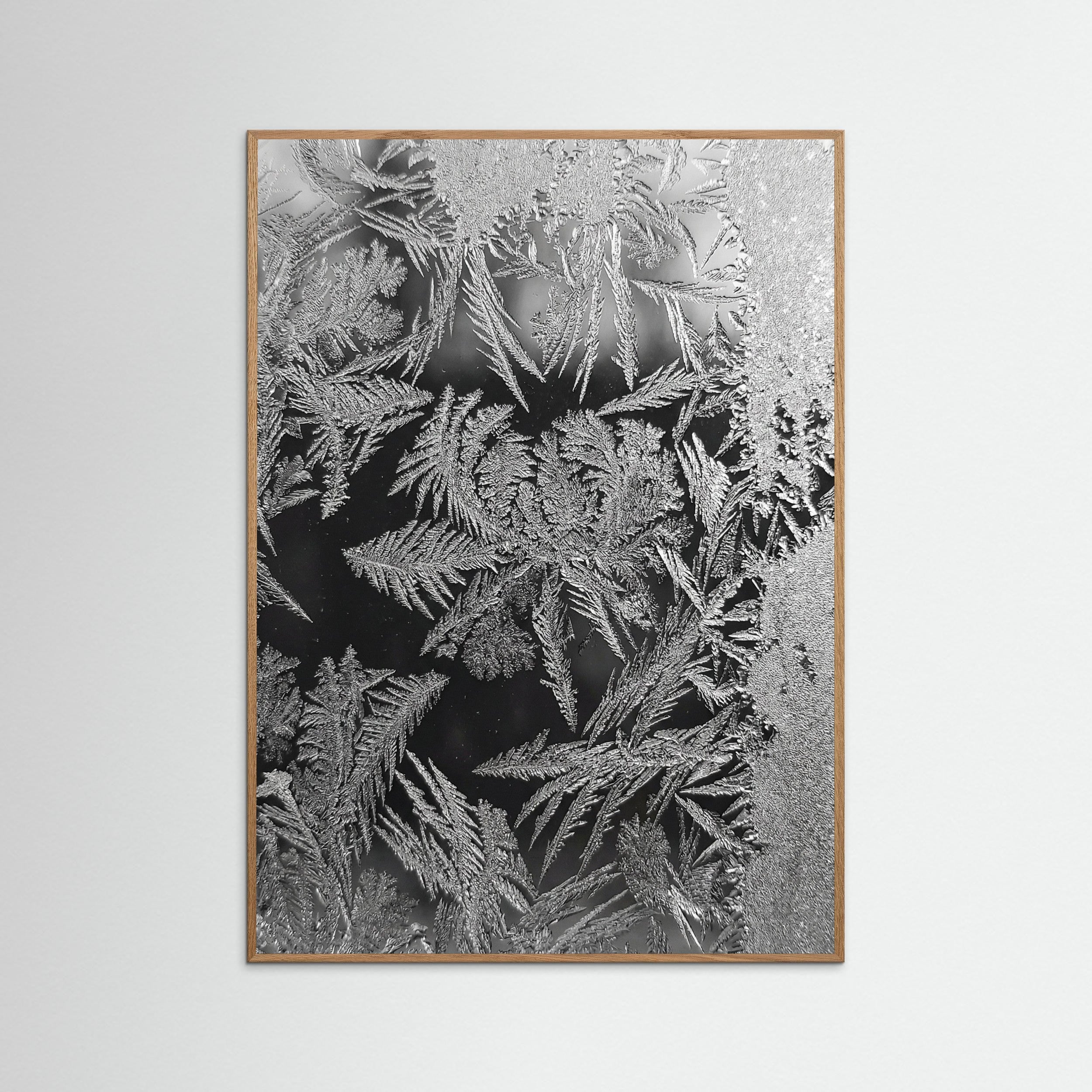 Oak Nature Textured Clusters