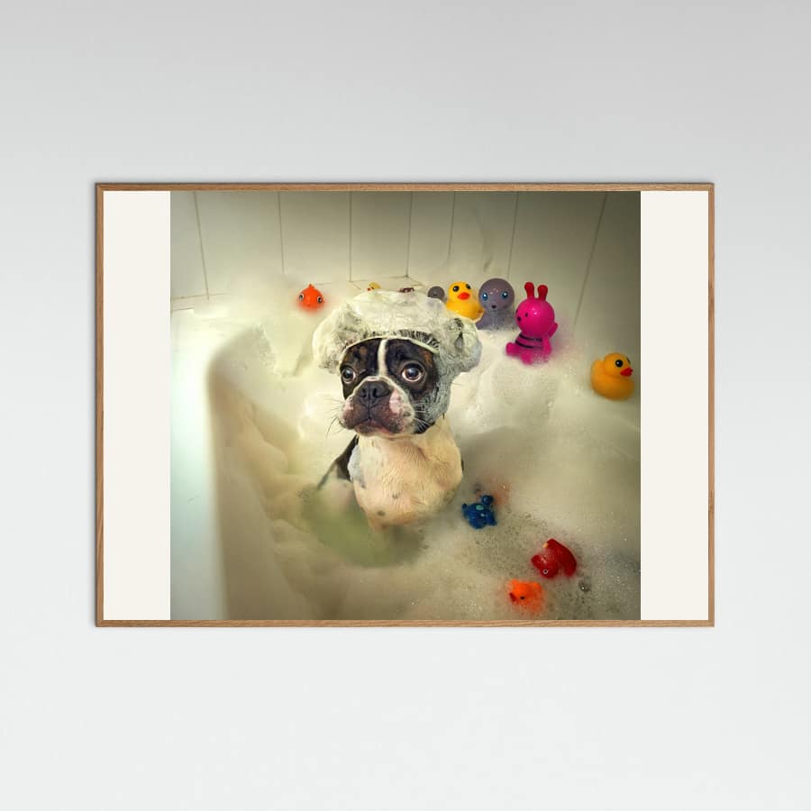 The Bath -juliste