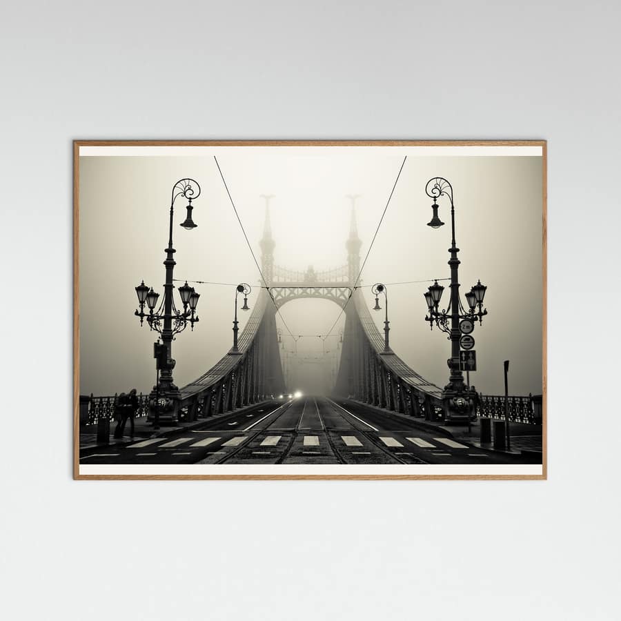 The Bridge Poster – poster and art print