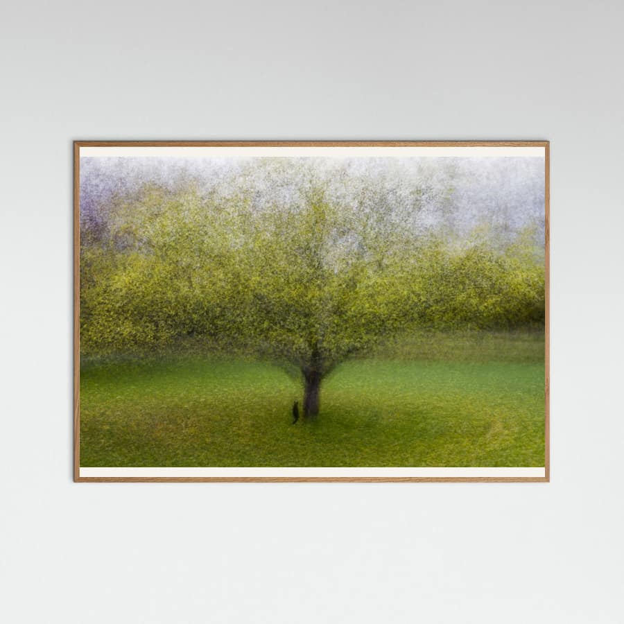 The Cat by the Tree Poster – poster and art print