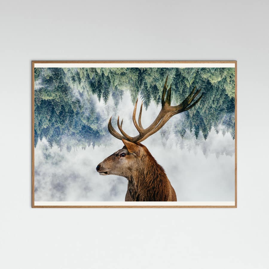 The Deer and the woods Poster – Poster und Kunstdruck