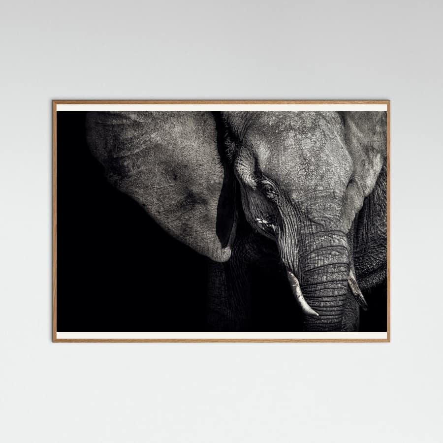 Póster The Matriarch – póster e impresión artística