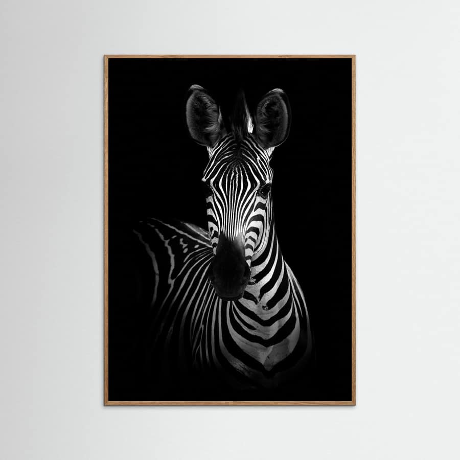 The Zebra Poster