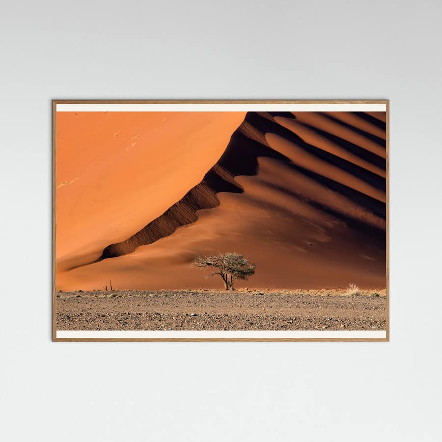 The dune and the tree Poster – poster en kunstdruk