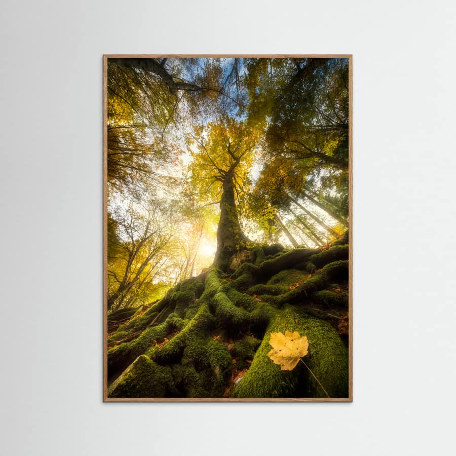 The goodbye of a leaf Poster – poster and art print