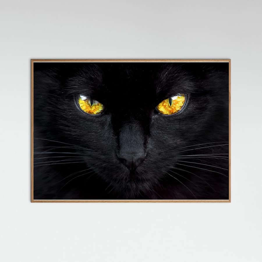The hypnotist of the night Poster – poster and art print