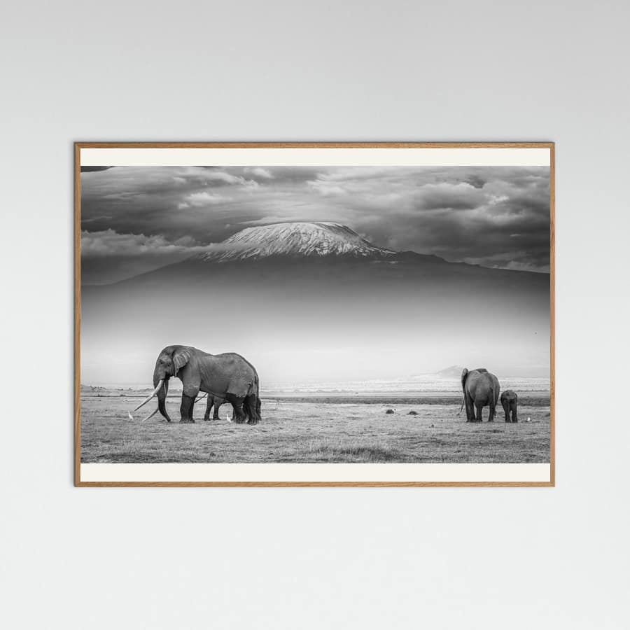 The land of giants Poster