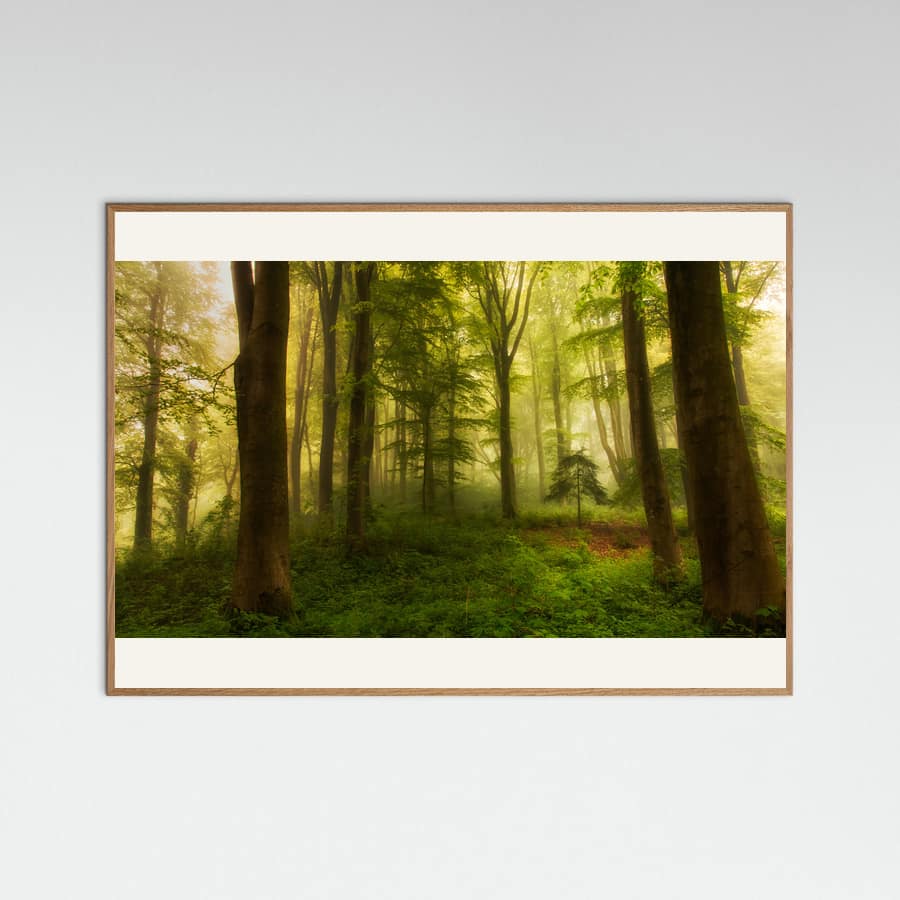 Plakat The little tree