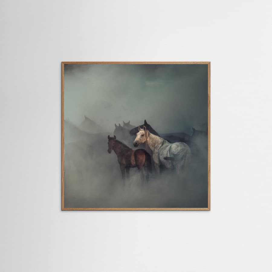 The lost horses Poster