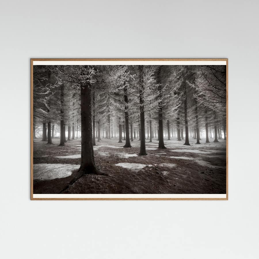 Poster The onset of winter
