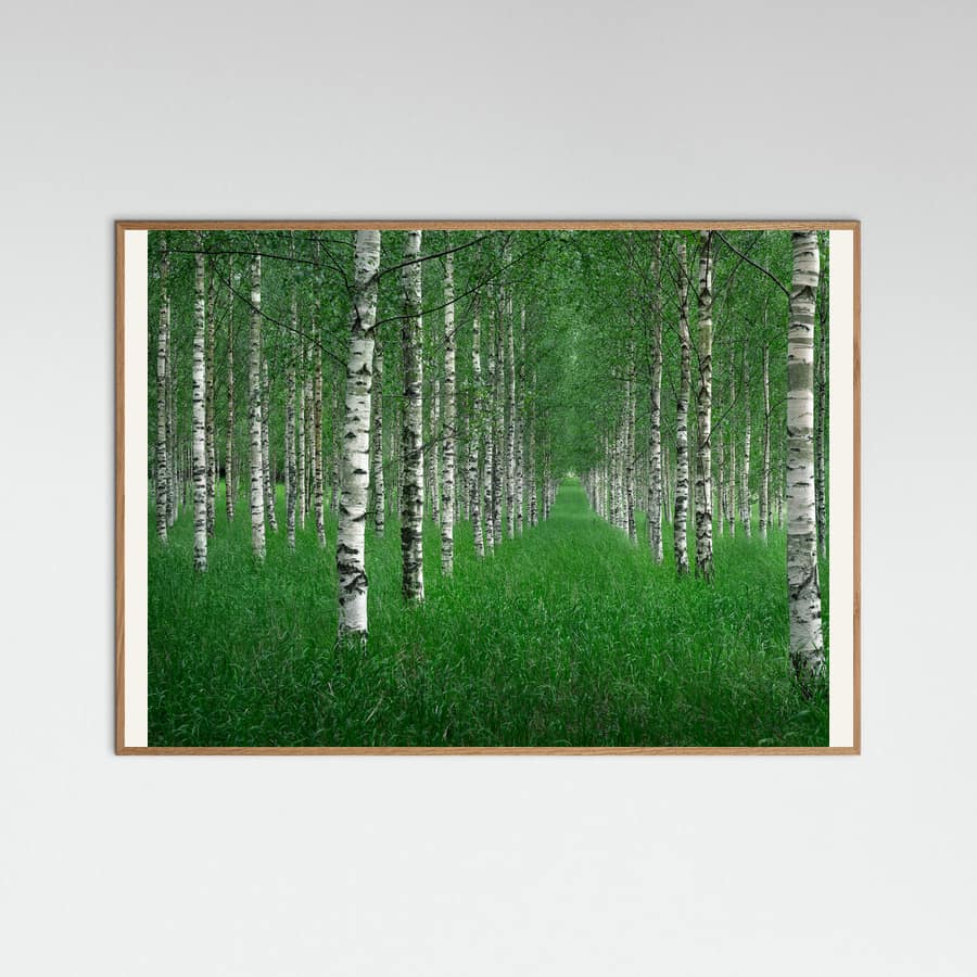 Poster The tunnel – poster e stampa artistica