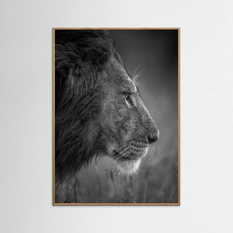 Plakat Thinking Under The Rain