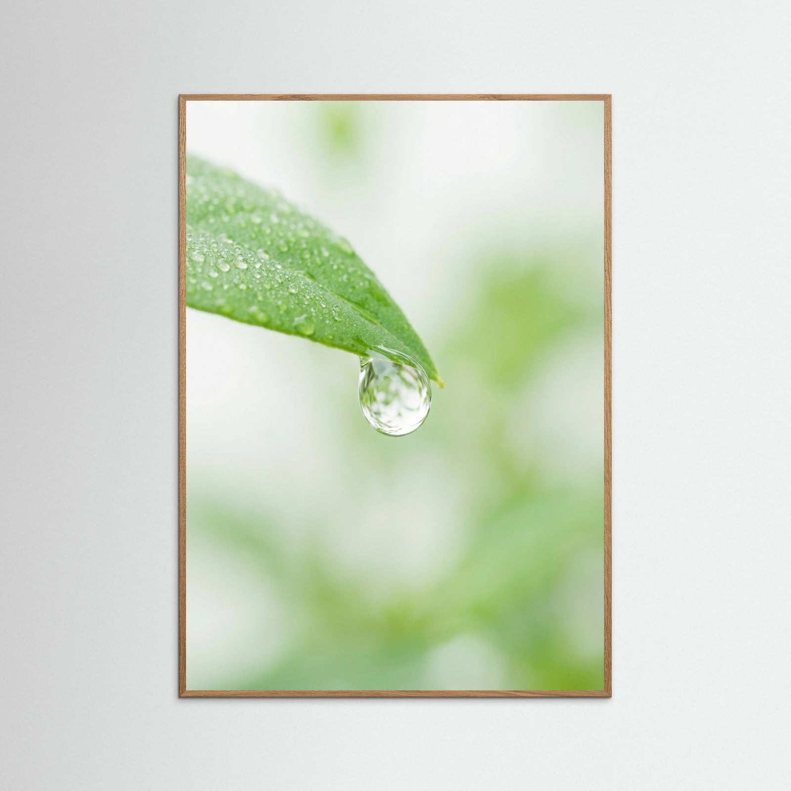 Oak Nature Tiny Hope