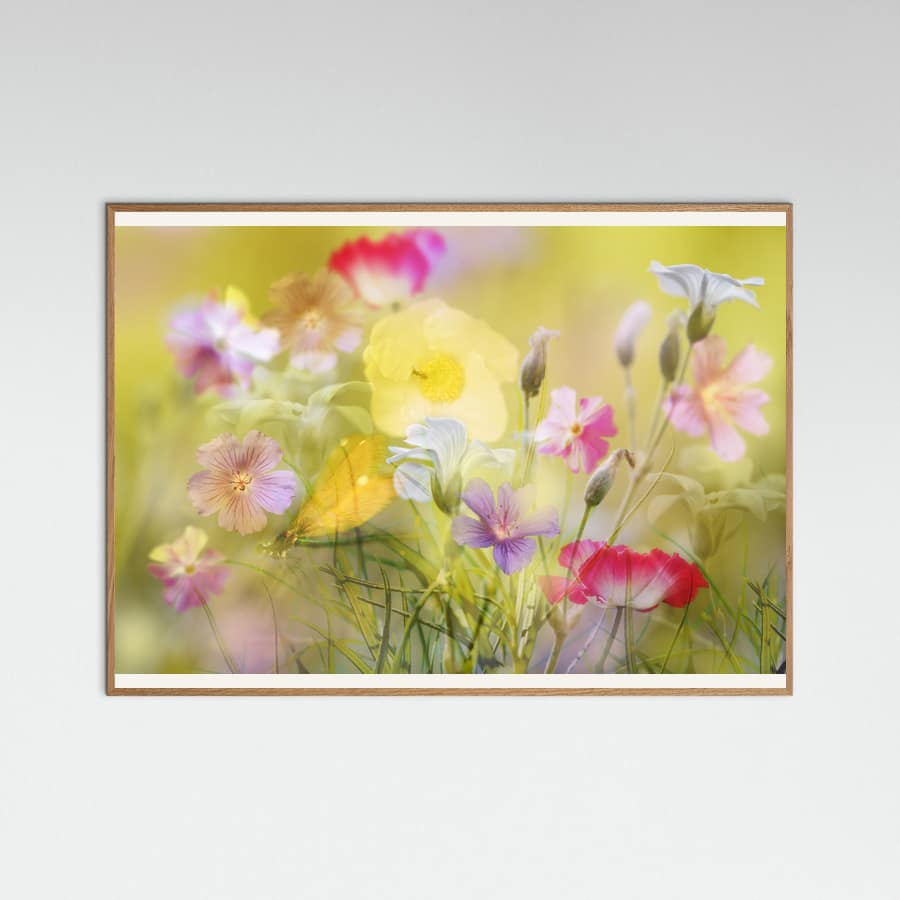 Tiny garden in a summer field Poster – poster and art print