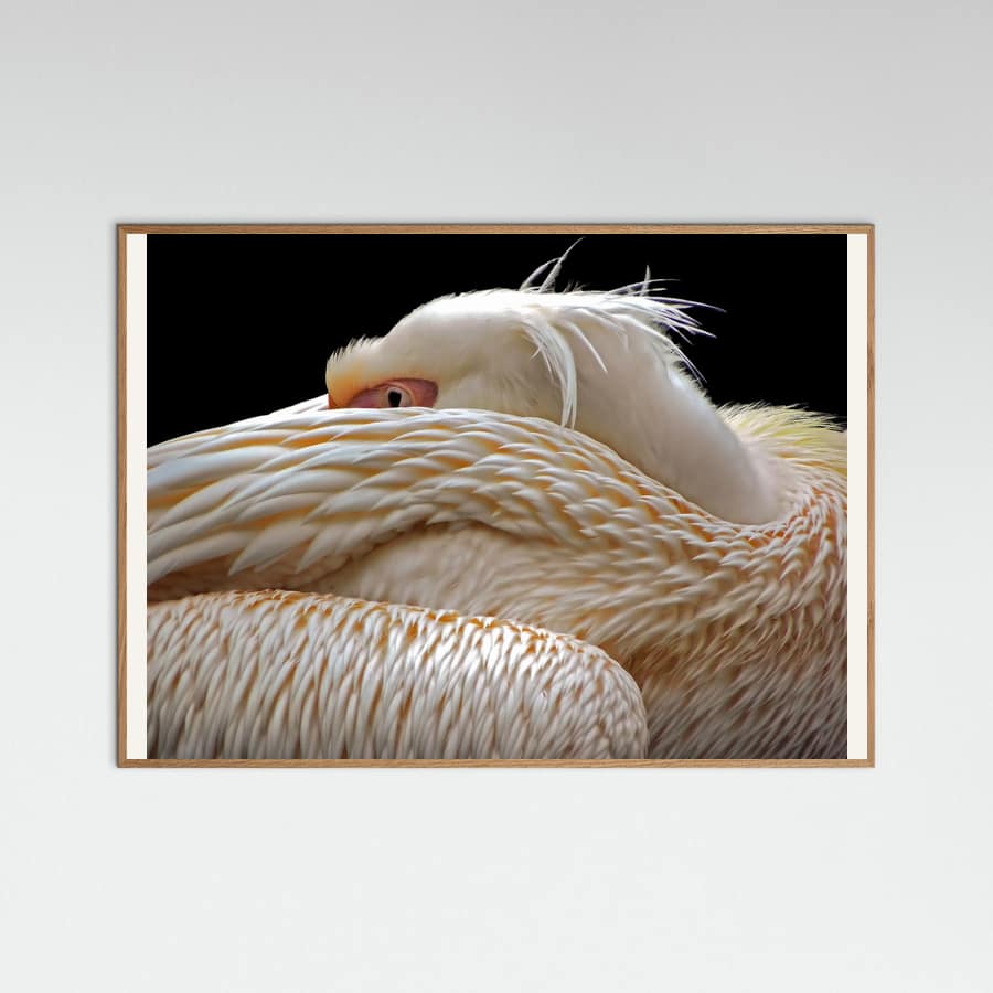 Plakat To be half asleep... – plakat i druk artystyczny