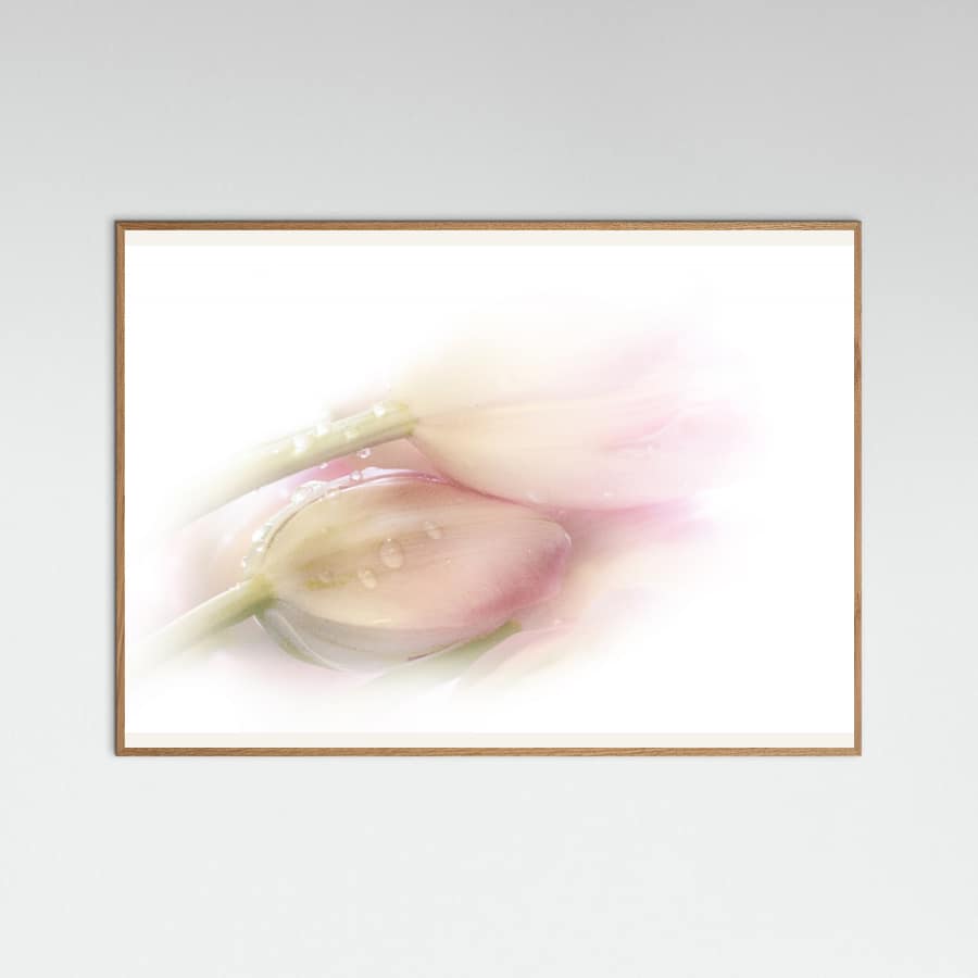 Touching Poster – plakat og kunsttryk