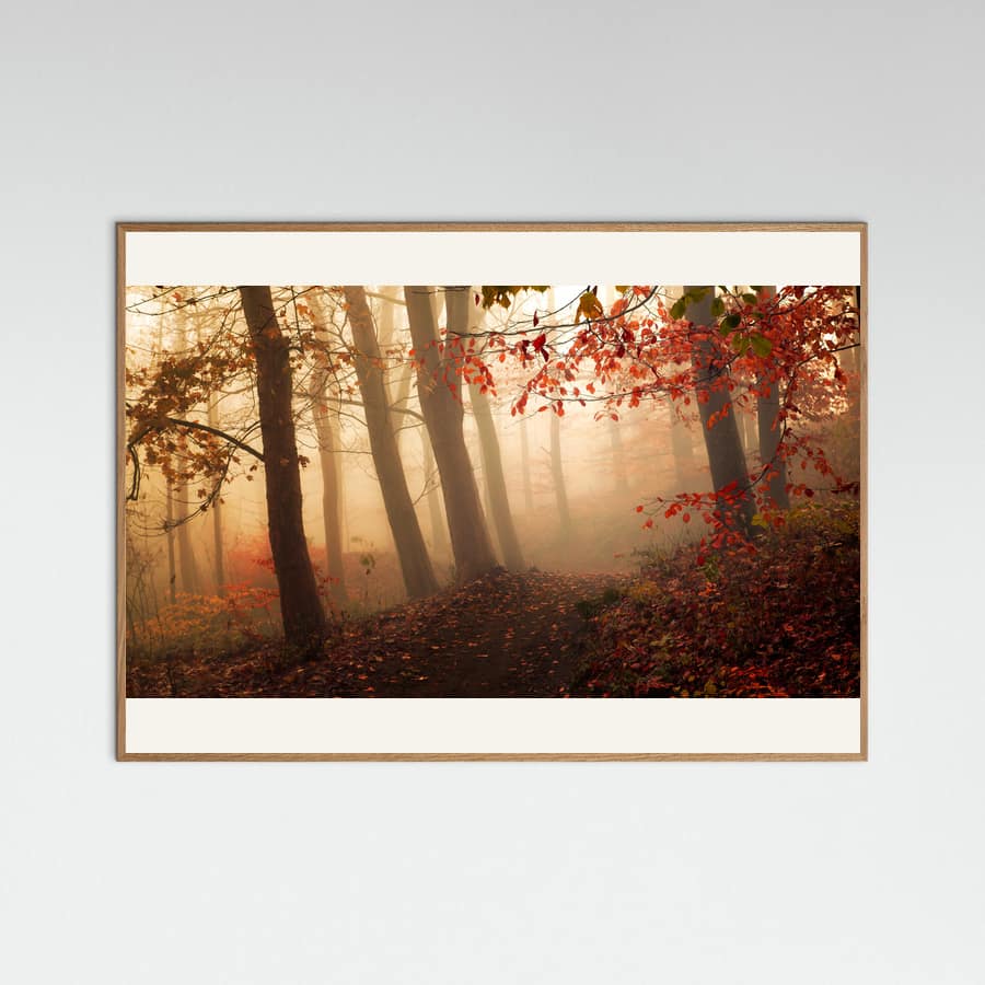 Towards the light. Poster – poster and art print