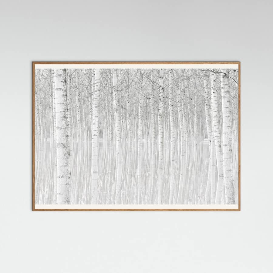 Trees Poster
