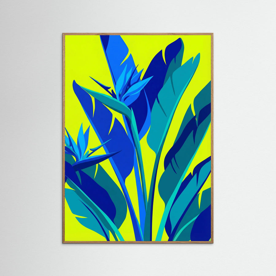 Tropical Radiance