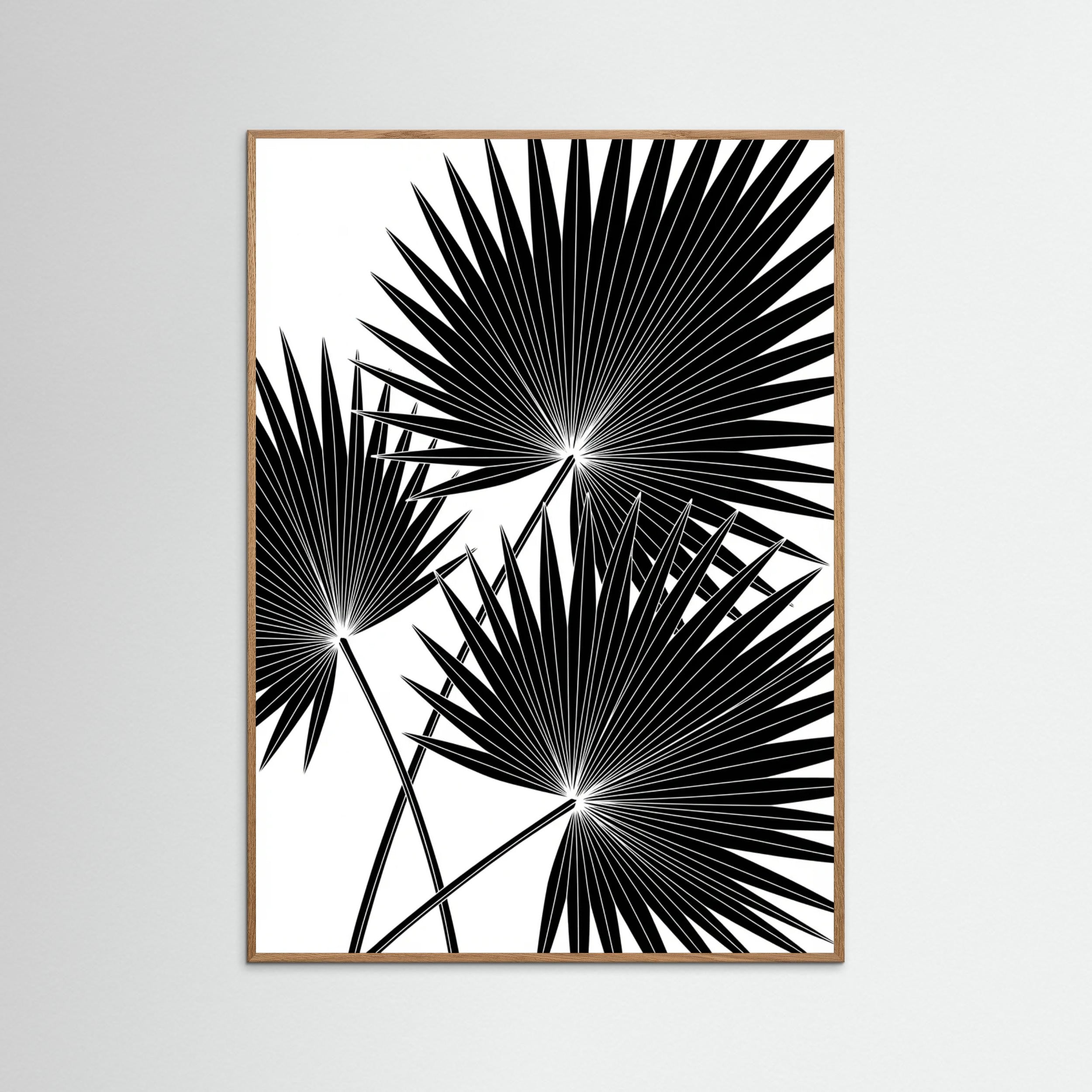 Oak Nature Tropical Silhouette