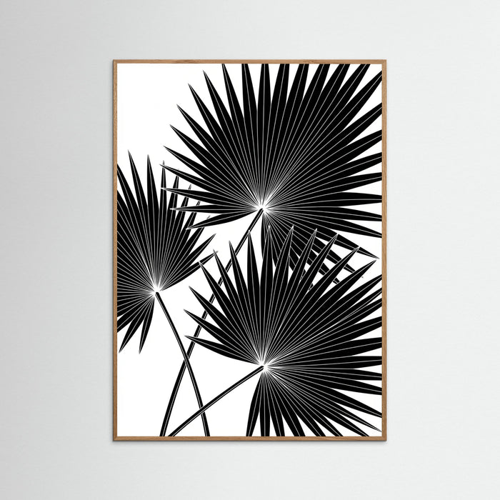Oak Nature Tropical Silhouette
