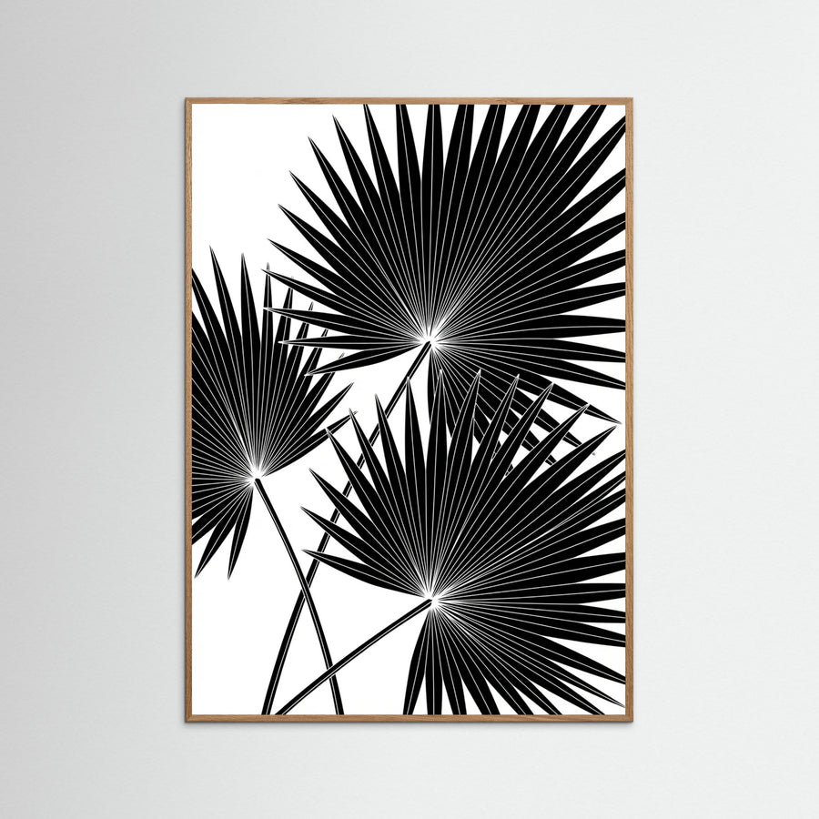 Tropical Silhouette