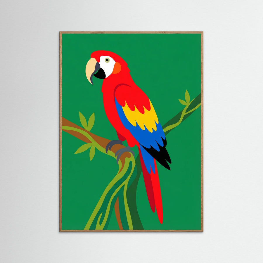 Tropical Toucan