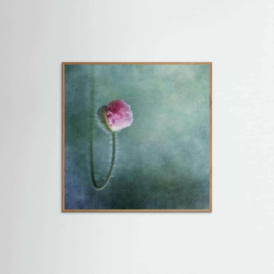 Trust Poster – poster and art print